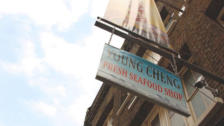 Young chen seafood shop
